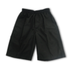 Microfibre sport short